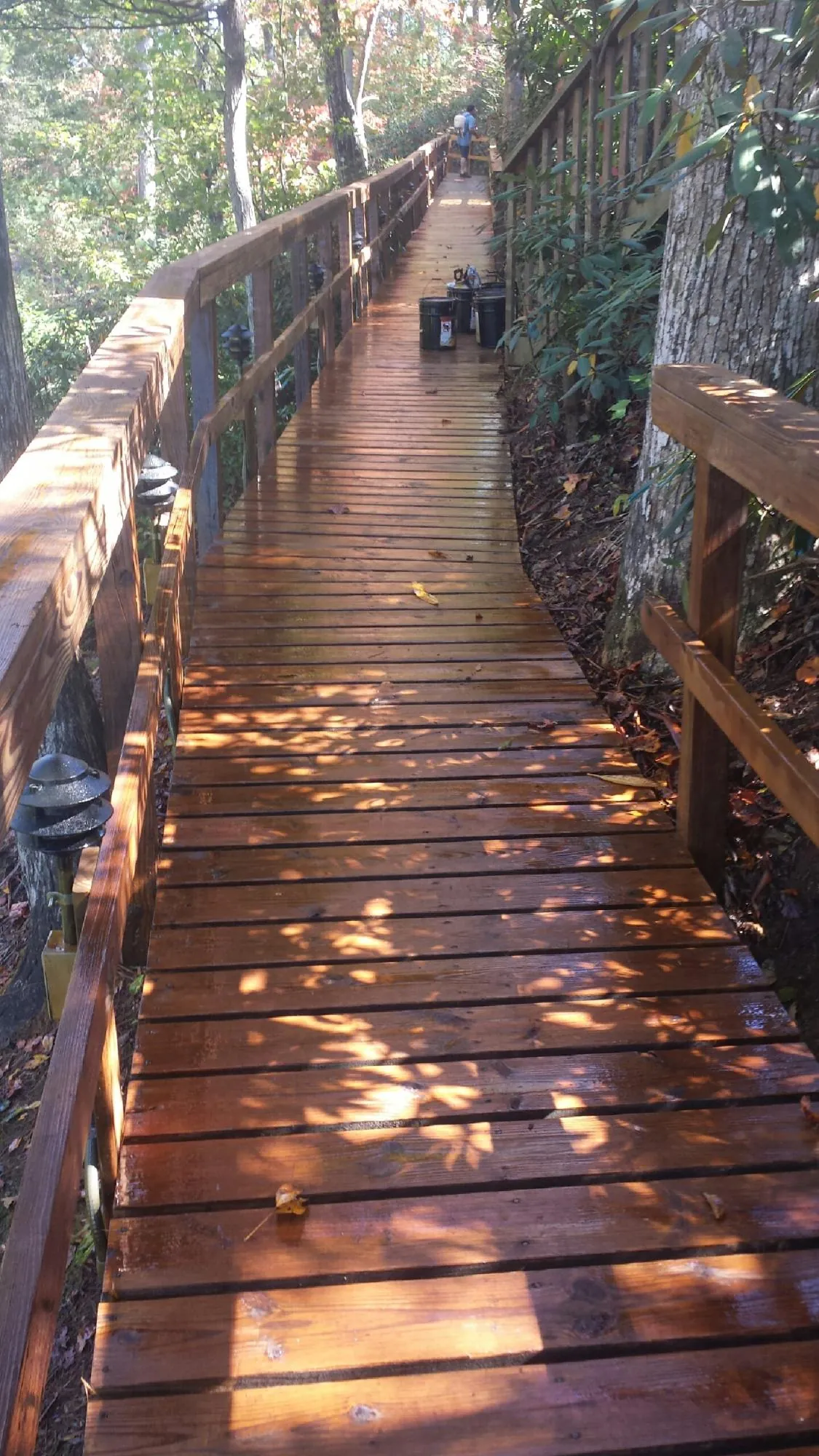 Freshly stained wood walkway winding through the woods in Bellville
